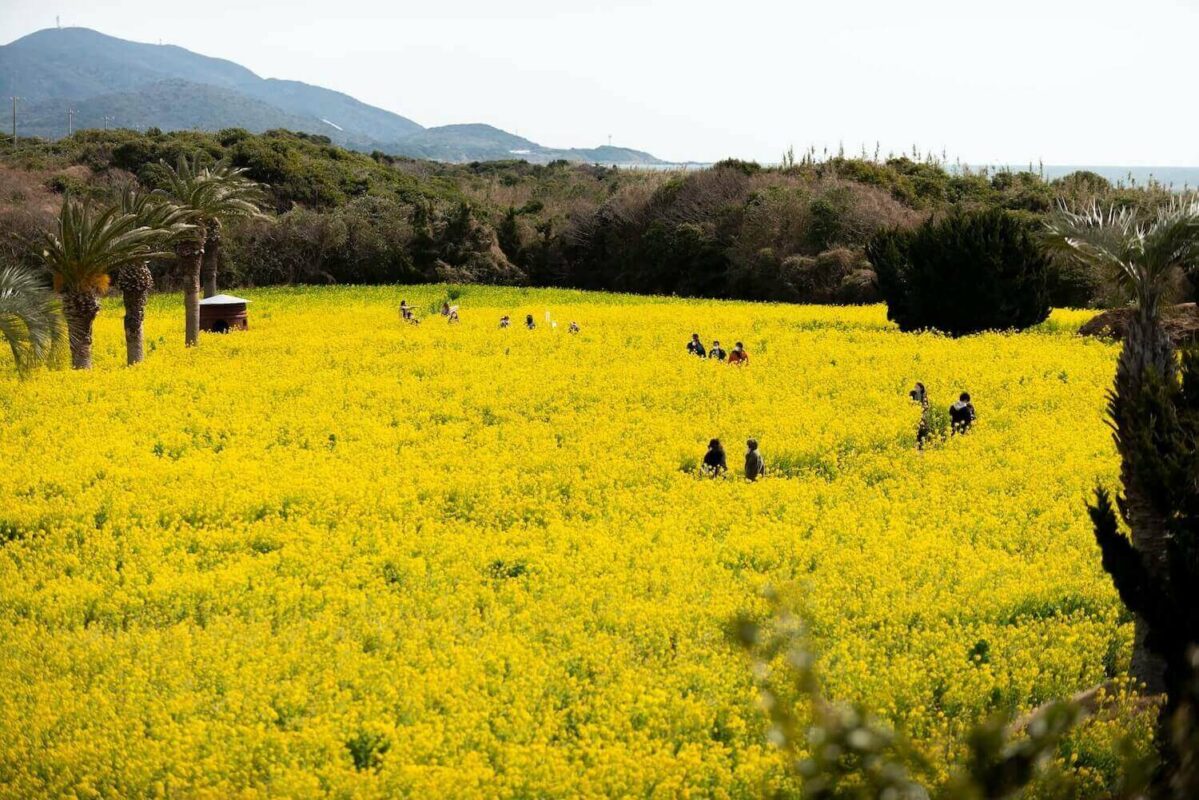 【公式】道の駅 田原めっくんはうす・あかばねロコステーション・伊良湖クリスタルポルト